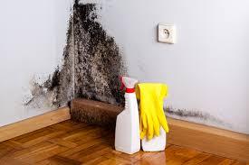 Reliable Laguna Woods, CA Mold Prevention & Removal  Solutions